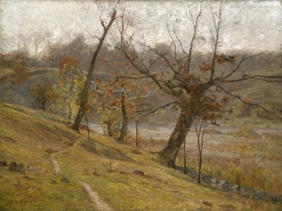 La fioritura dell